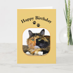 Carte Calico Cat Joyeux Anniversaire