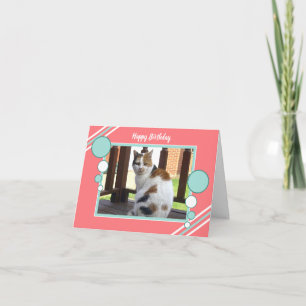 Carte Calico chat assis photo corail turquoise