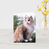 Carte Calico Chat Personnalisé Penser De Vous (Fleur jaune)