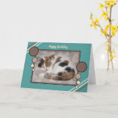 Carte Calico chat recouvert d'un voile photo marron turq (Fleur jaune)