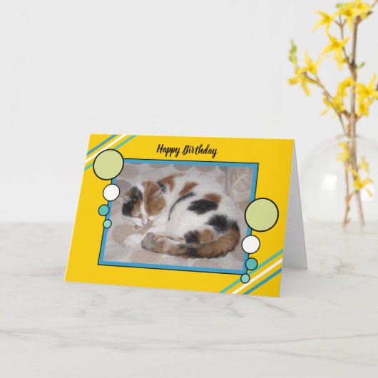Carte Calico chat recouvert d'une glace (Fleur jaune)