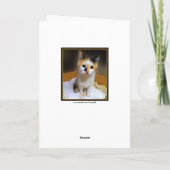 Carte Calico Kitten Joyeux anniversaire (Dos)