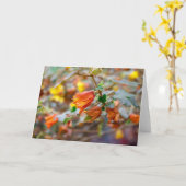 Carte California Flannel Bush (Fleur jaune)
