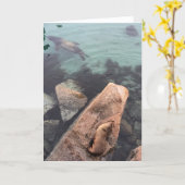 Carte california sea life greeting card (blank inside)  (Fleur jaune)