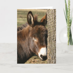 Carte câlin