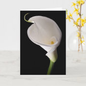 Carte Calla blanche élégante (Fleur jaune)