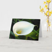 Carte Calla Lily (Fleur jaune)
