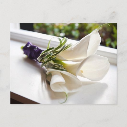 Carte Calla Lily (Devant)