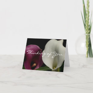 Carte Callas blanches pourpres