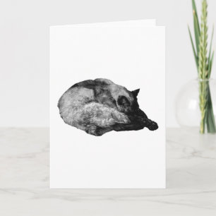 Carte calme couche de silence