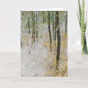 Carte "Calme" - Photo transformée d'arbres dans une forê