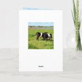 Carte Calves de bébé de Galloway, anniversaire (Dos)