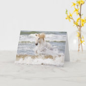 Carte Camargue à cheval dans le Surf (Fleur jaune)