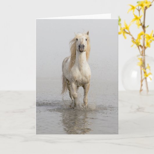Carte Camargue Cheval Courir dans l'eau (Fleur jaune)