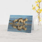 Carte Camargue, Chevaux et réflexion, Sud de la France (Fleur jaune)