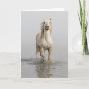 Carte Camargue Horse Running in Water