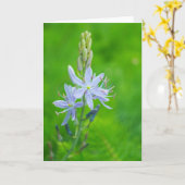 Carte Camas bleu vierge (Fleur jaune)