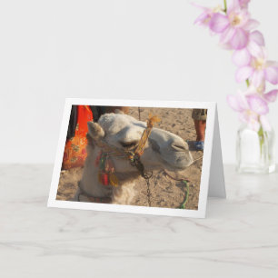 Carte Camel blanc dans le désert