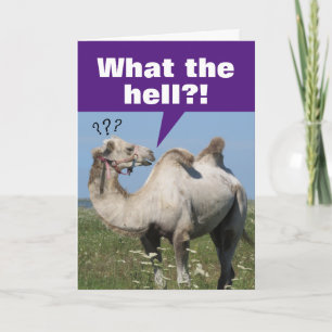 Carte Camel Drôle Avec Droopy Humps Anniversaire