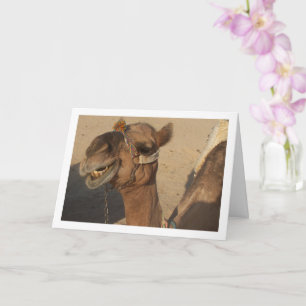 Carte Camel riant