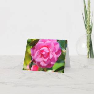 Carte Camélia