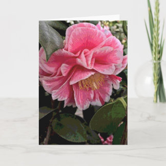Carte Camélia