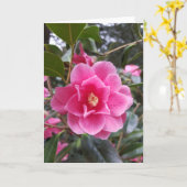Carte Camélia dans le parc (Fleur jaune)
