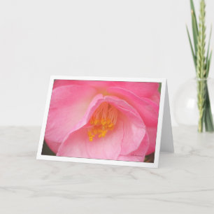 Carte Camelia rose doux