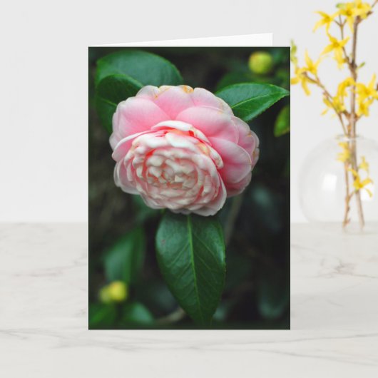 Carte Camélia unique (Fleur jaune)