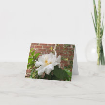 Carte camélia (vierge)