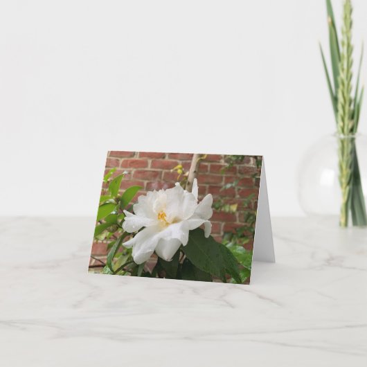 Carte camélia (vierge) (Devant)