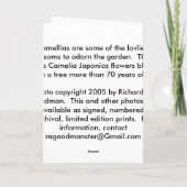 CARTE CAMÉLIAS (Dos)