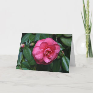 Carte "Camellia rose # 1"