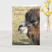 CARTE CAMELS (Fleur jaune)