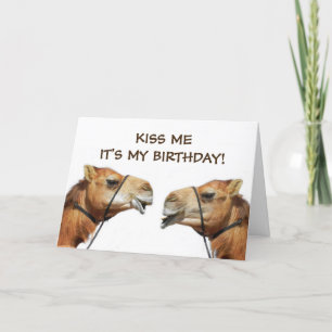 Carte Camels Kissing Funny Greeting Card
