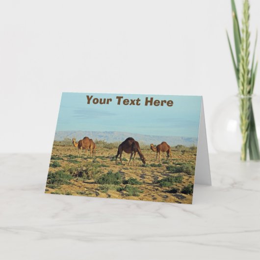 Carte Camels sur mesure (Devant)