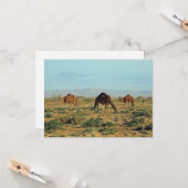 Carte Camels, Tunisie (Devant/Arrière en situation)