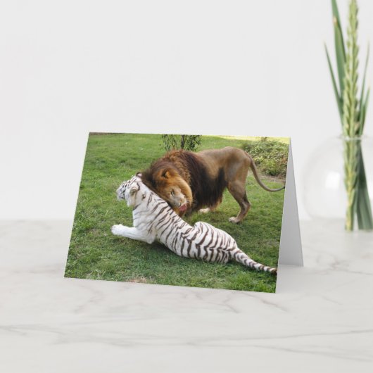 Carte CamNzabu029 (Devant)