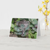 Carte Camouflage (Fleur jaune)