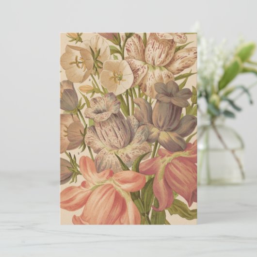 Carte Campanula | George Nicholson (Debout devant)