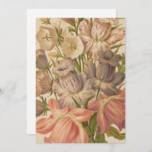 Carte Campanula | George Nicholson (Devant / Derrière)