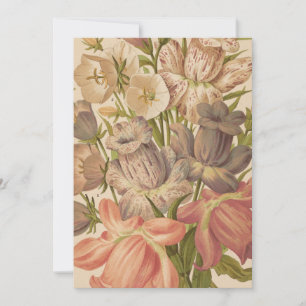 Carte Campanula   George Nicholson