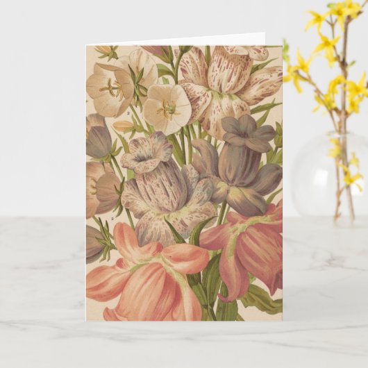 Carte Campanula | George Nicholson (Fleur jaune)