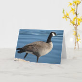 Carte Canada Goose (Fleur jaune)