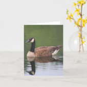 Carte Canada Goose Reflections Nature Note (Fleur jaune)