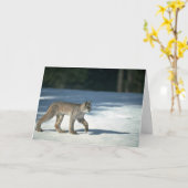 Carte Canada lynx sur neige (Fleur jaune)