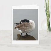 Carte canadienne d'oie (Devant)