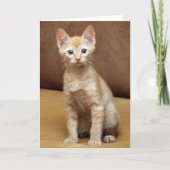 Carte Canapé Ginger (Devant)