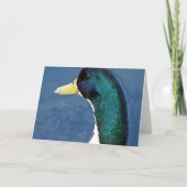 Carte Canard (Devant)