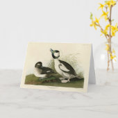 Carte Canard à tête de buffle des oiseaux d'Amérique d'A (Fleur jaune)